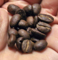el Paraiso bönor el paraiso beans da Matteo el Paraiso Bolivia